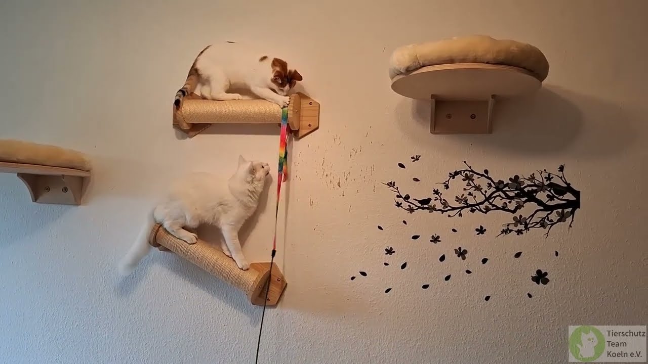 Arti und Mira Spiel und Spaß