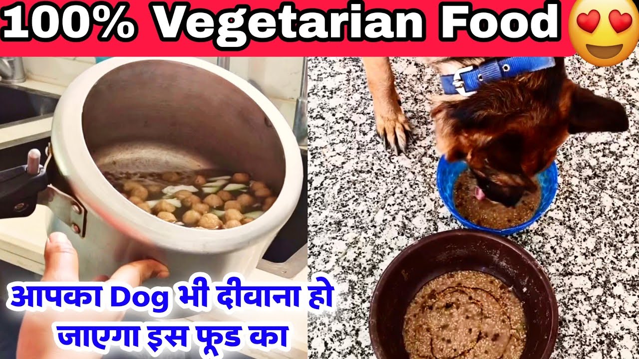 Homemade Veg Dog food 100% vegetarian 🫜 | Puttu & Tiger Vlogs