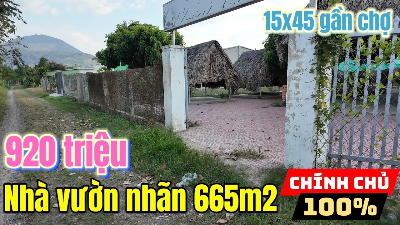 Tây Ninh: Nhà vườn nhãn 665m2 nở hậu chủ bán 920 triệu view núi Bà cách chợ Thạnh Tân 2km SHR