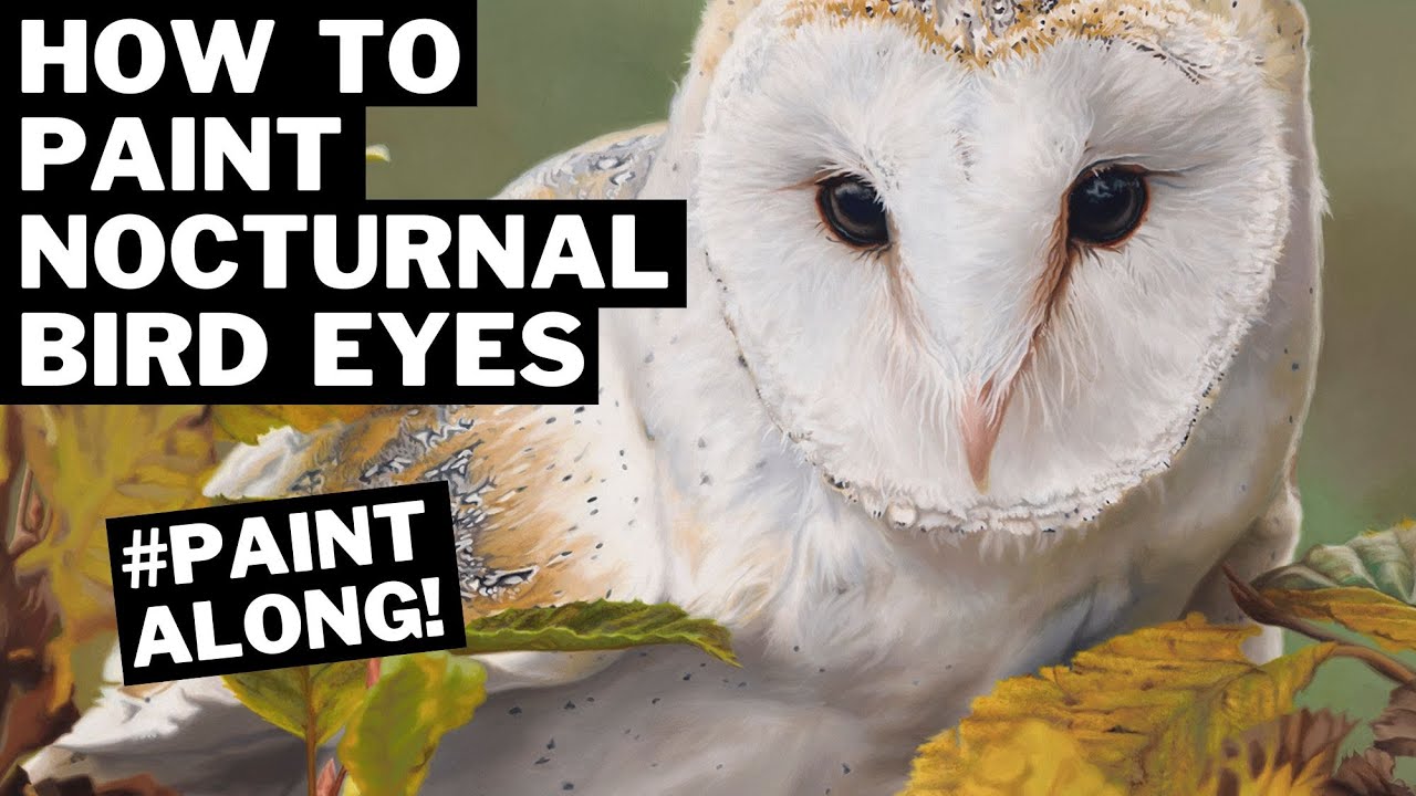 How to Paint Nocturnal Bird Eyes 