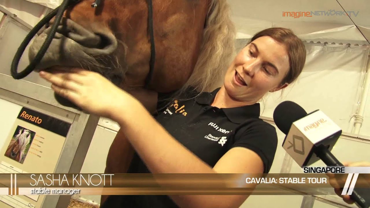 [Behind-the-Scenes] Cavalia - Stable Tour