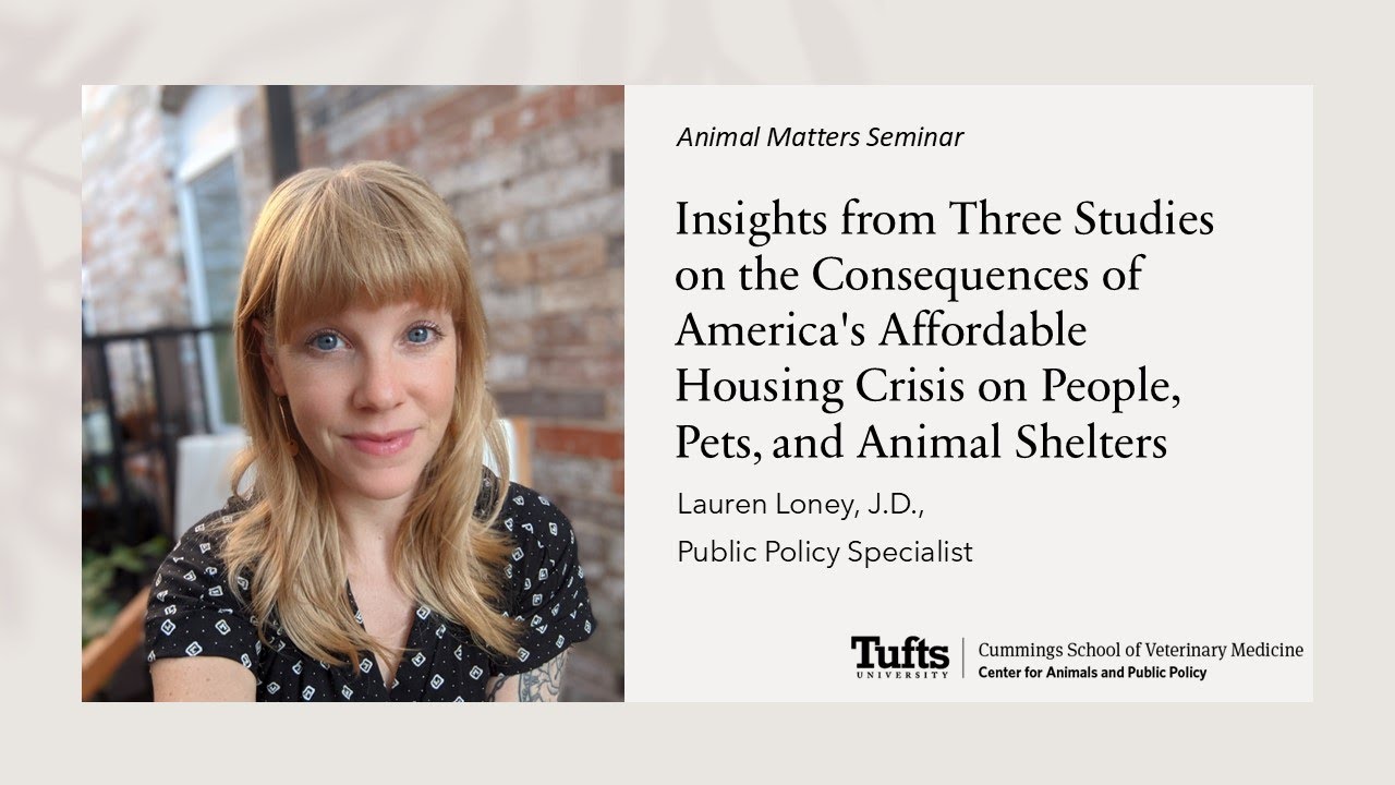 Consequences of America's Affordable Housing Crisis on People, Pets, and Animal Shelters