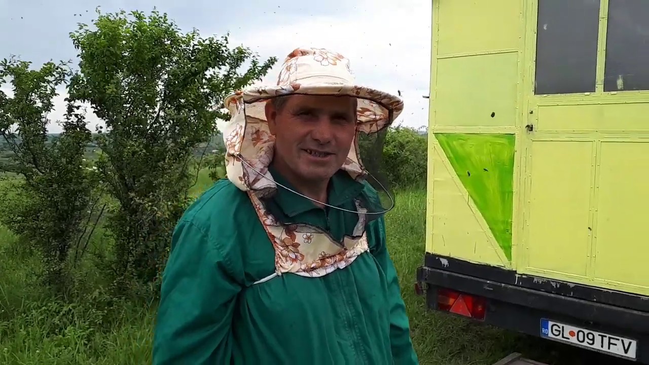 Stupina fratelui meu Samoel