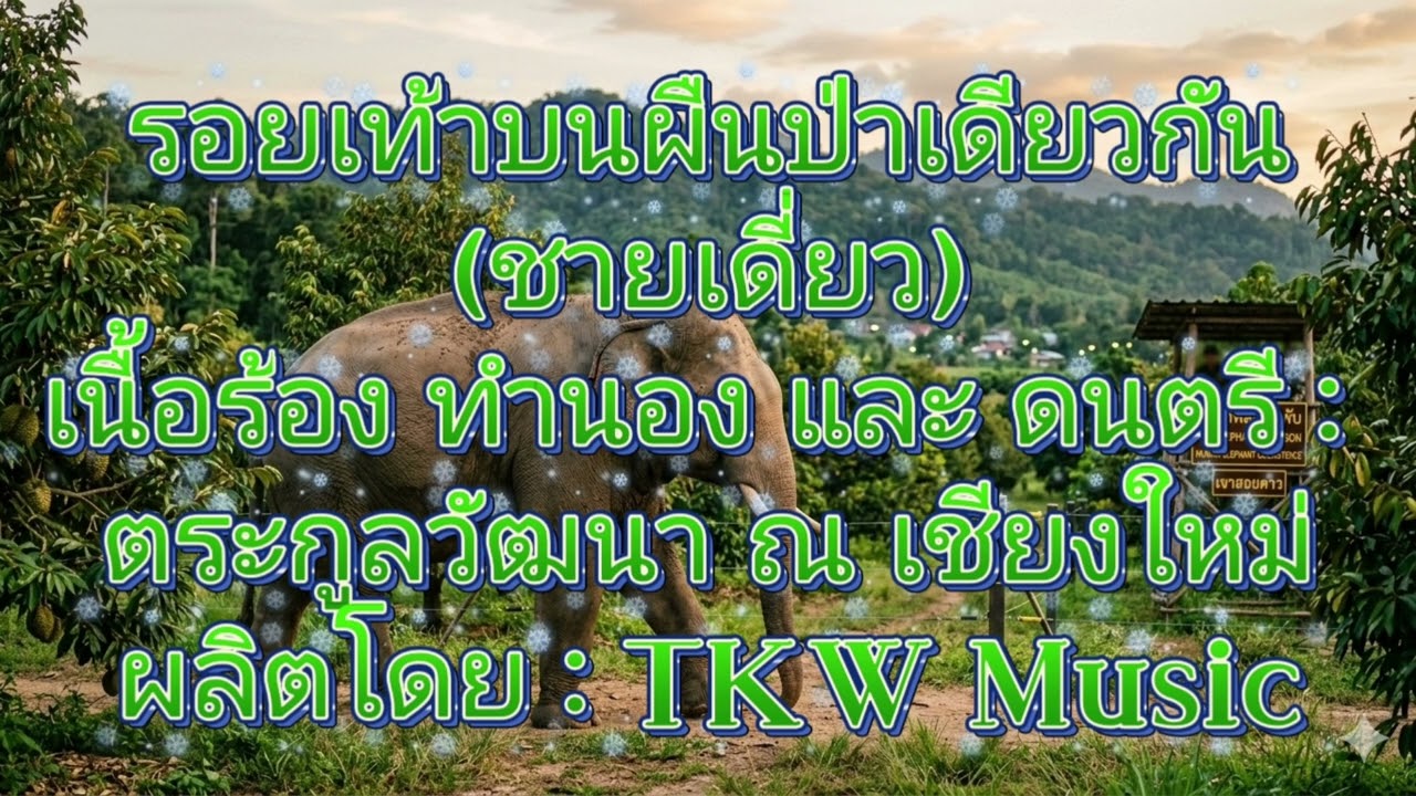รอยเท้าบนผืนป่าเดียวกัน (ชายเดี่ยว)