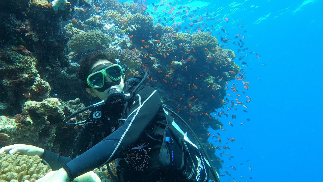 Road Trip Part 2 : Snorkeling & Diving in Red Sea , Jeddah