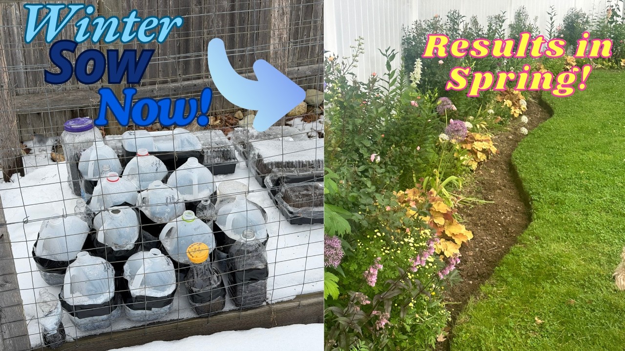 HOW TO WINTER SOW THE EASY WAY! (HOW TO, HACKS, & SEED HAUL)