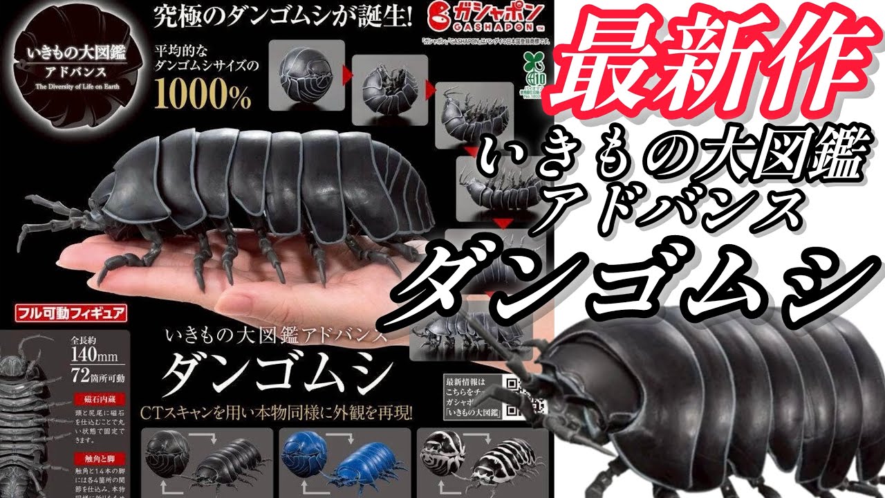 【ガチャガチャ】いきもの大図鑑アドバンス『ダンゴムシ』【最新作】いきもの大図鑑の原点開封&レビューします。【＠BANDAI】