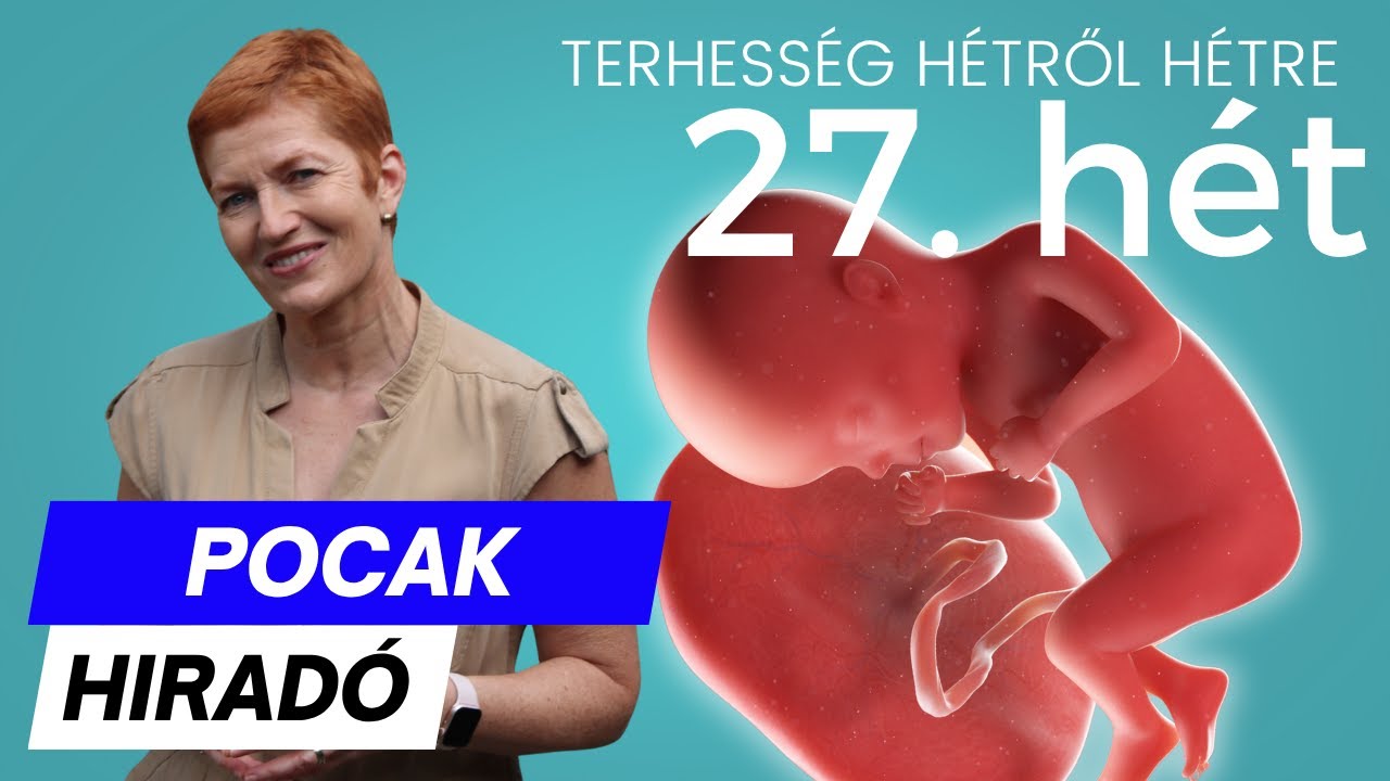 Terhesség 27. hete ∣ Terhesség hétről hétre