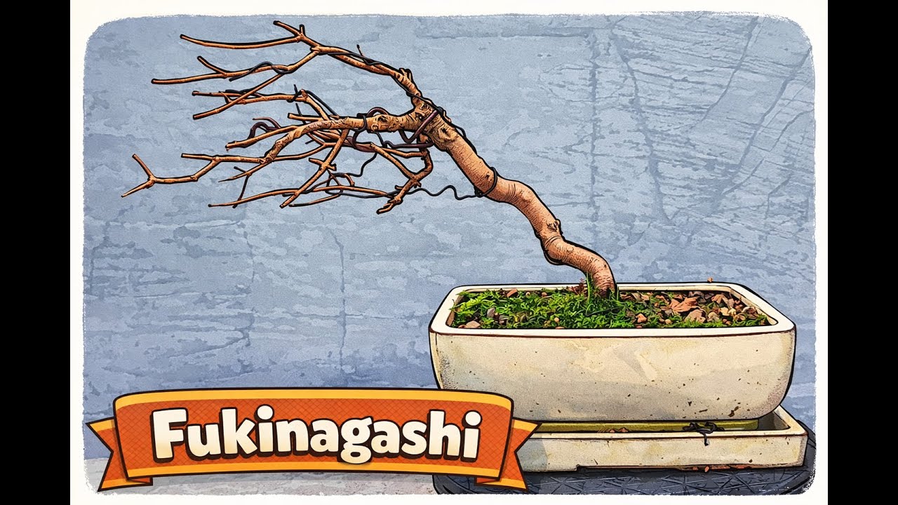 Fukinagashi