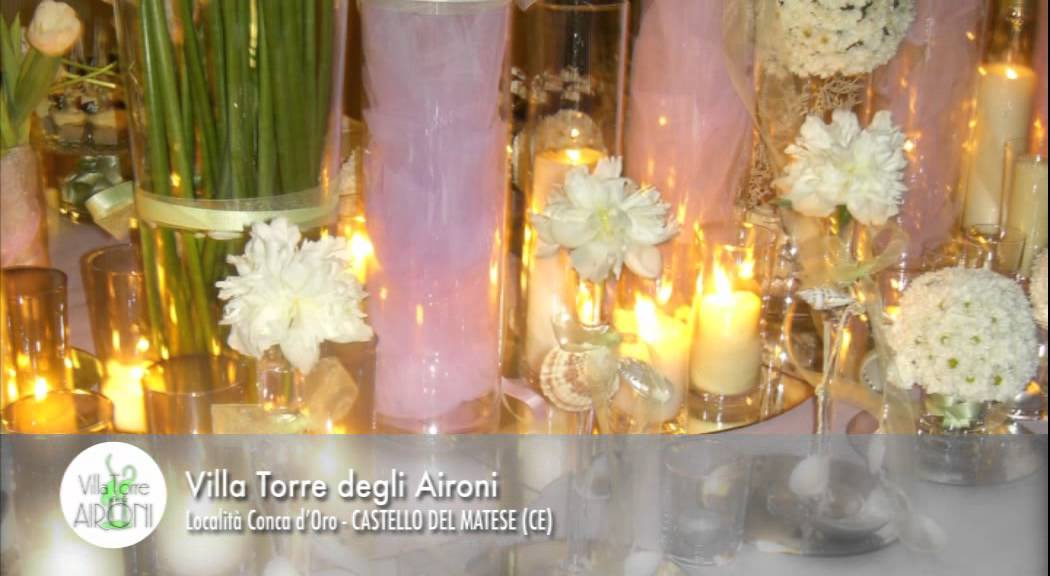 Villa Torre Degli Aironi: villa storica per ricevimenti, meeting, banchetti