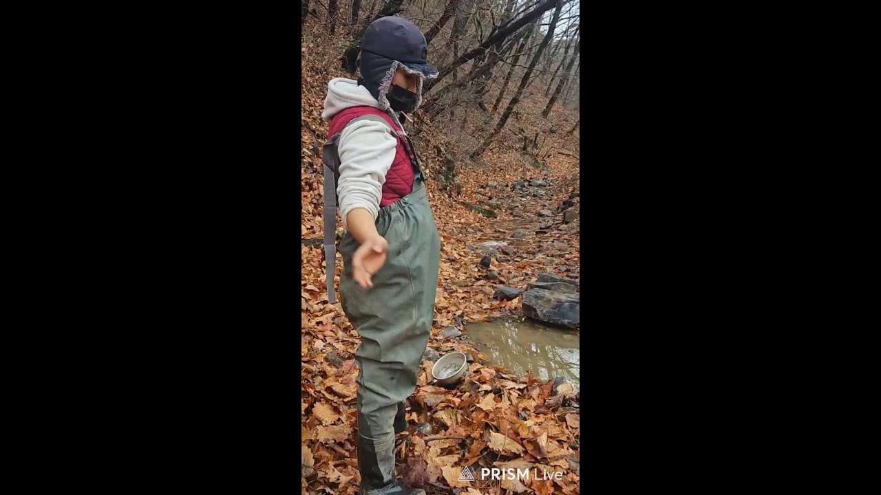 산새가 아침을 노래하네 The mountain bird sings of the morning