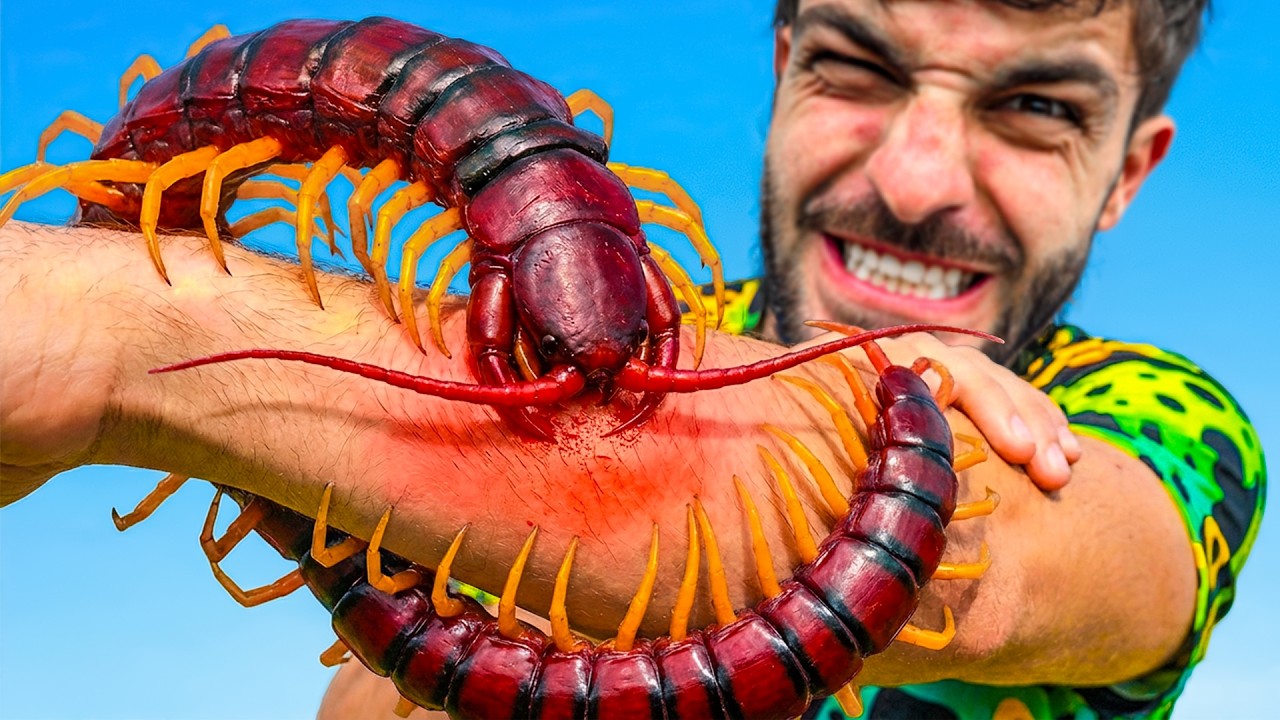 ‼️Mordido por CIEMPIES Gigante‼️ Peores Picaduras #3