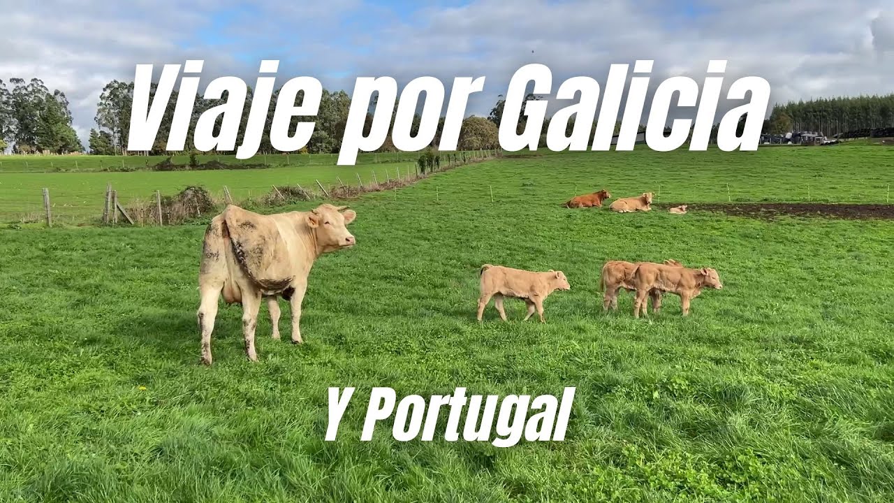Otro viaje por tierras gallegas