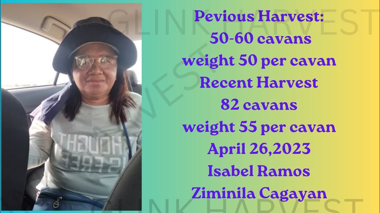 Harvest Result Using Agrilink Products