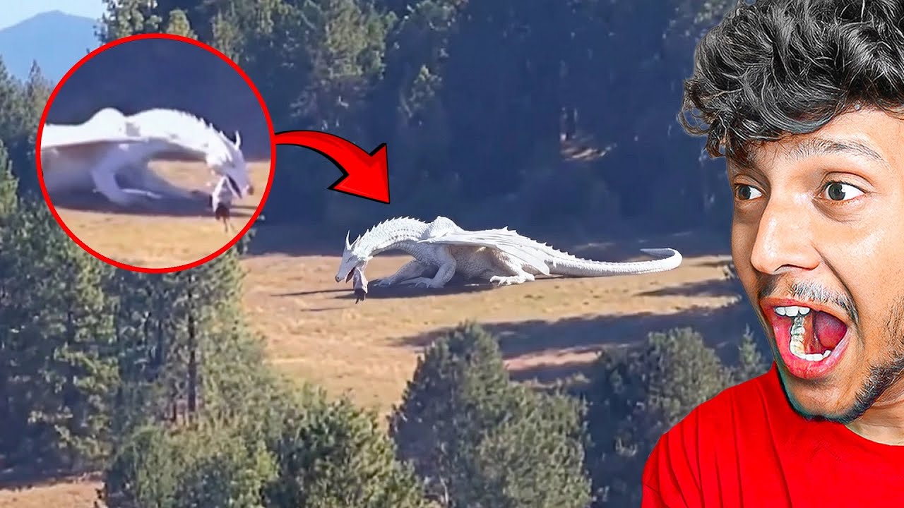 Mythical Creature Caught in China&hellip; You Won&rsquo;t Believe It!