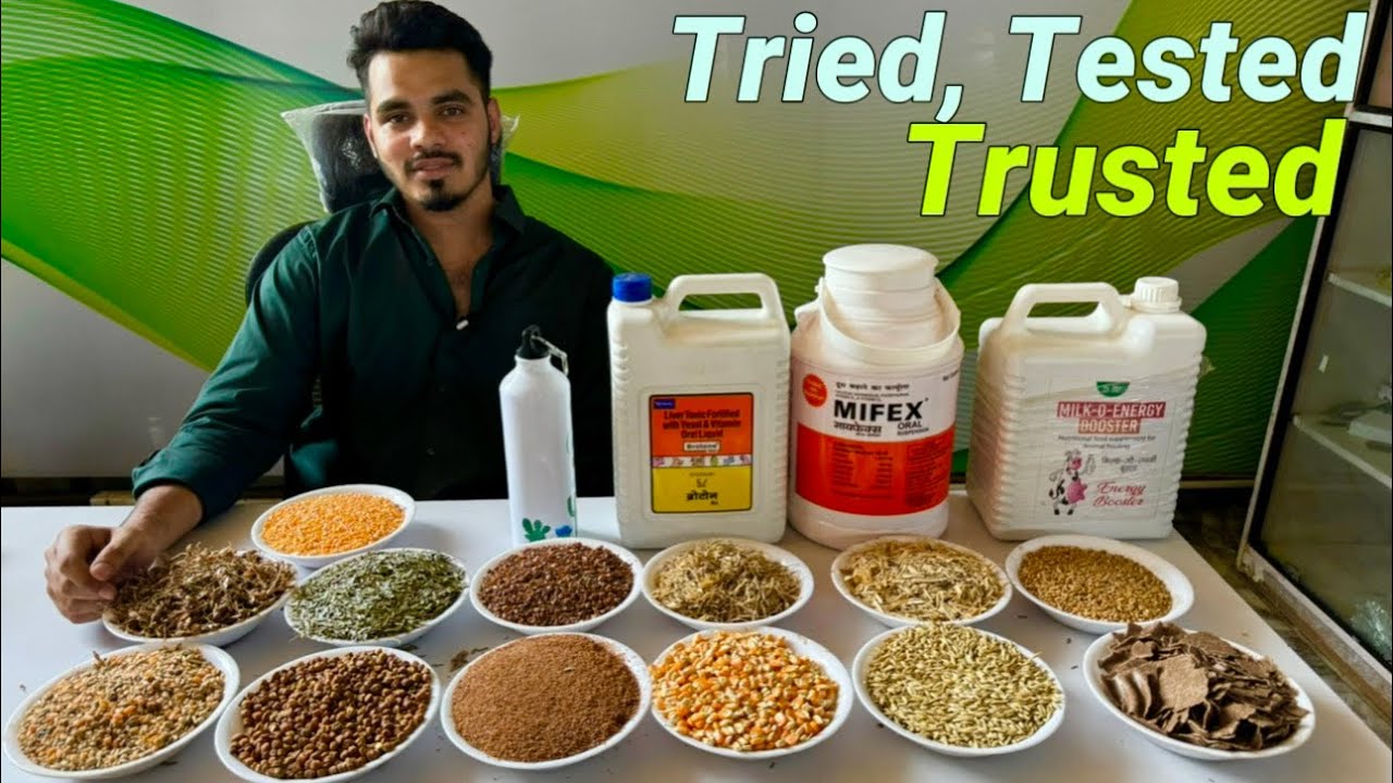 A.S Agro Goat Feed,Pune | Wholesale & Retail बकरो के चारे के लिए देश की पहली पसंद
