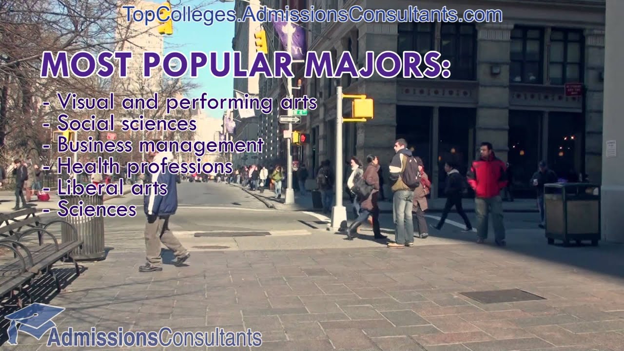 New York University