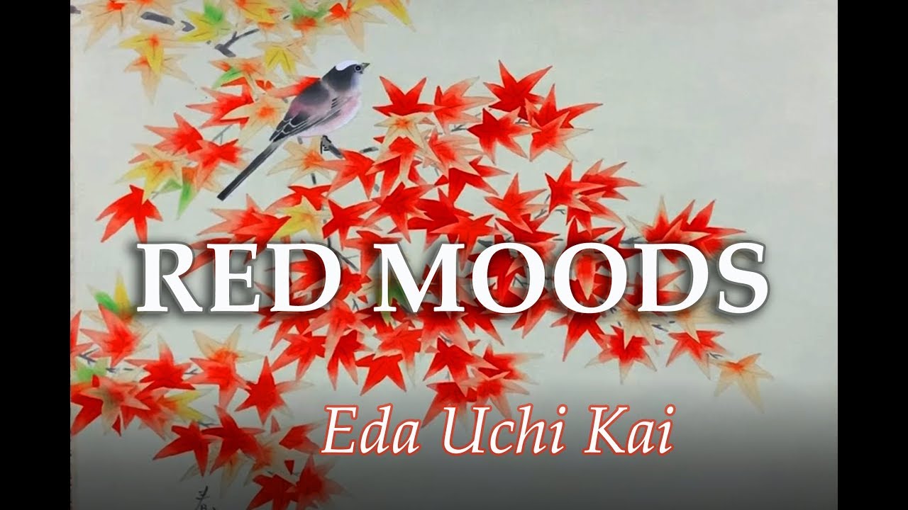 An impression of the  Eda Uchi Kai show