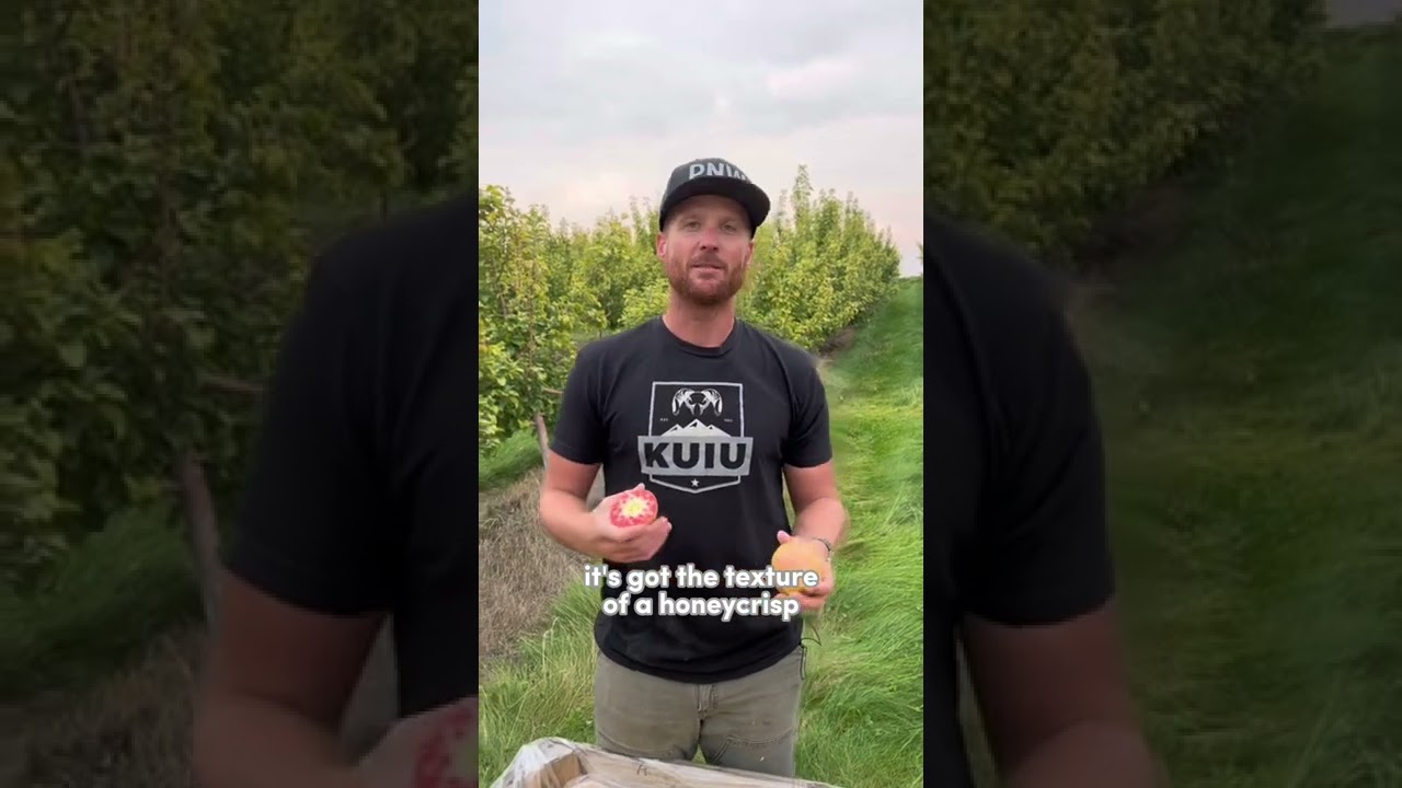 Farm Friday | All About Lucy™ Glo Apples