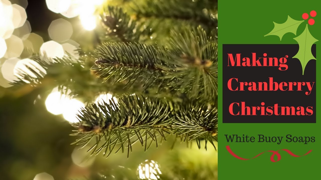 Cranberry Christmas Tallow Soap/Cold Process Soap Making/White Buoy Soaps