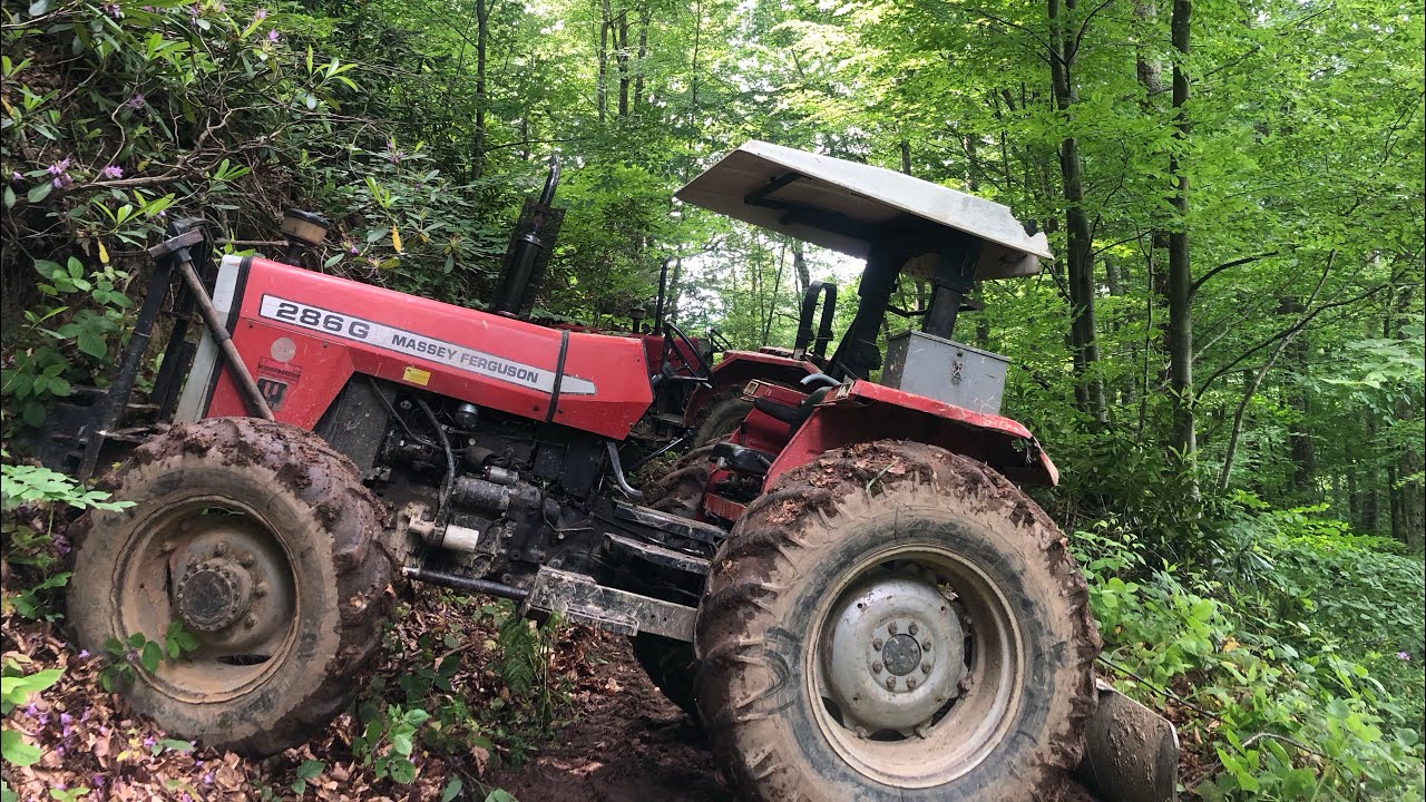 MASSEY FERGUSON 286 gold tomruk çekme
