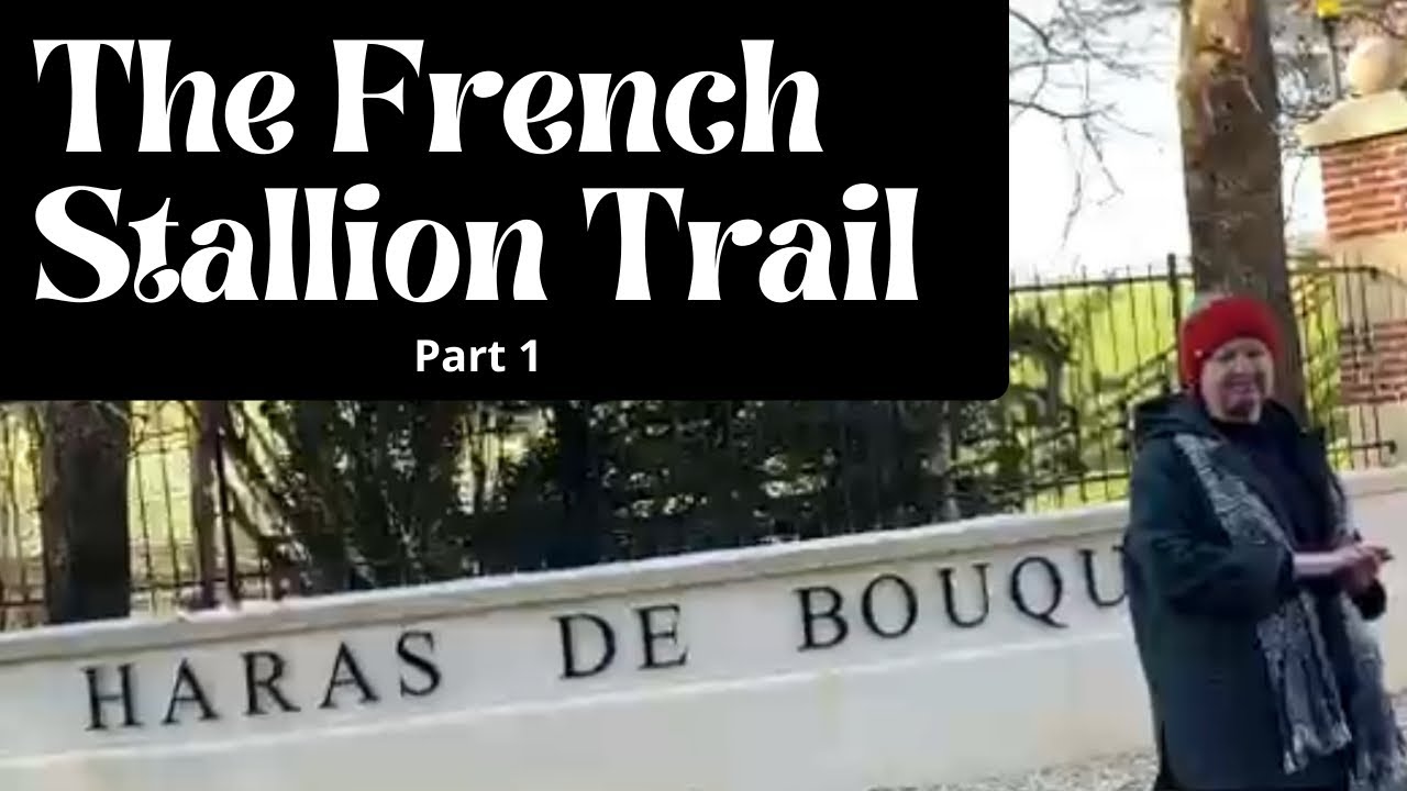 The super-amazing French stallion tour