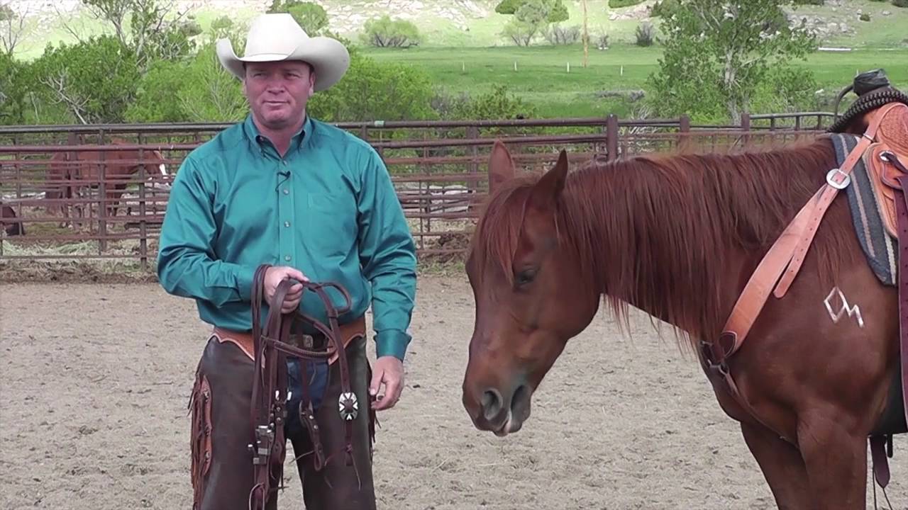 Choosing a Headstall that Works Best for You