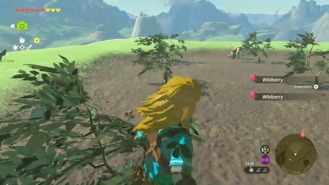 UMA'S GARDEN: PLANTING BIG HEARTY RADISH | THE LEGEND OF ZELDA: TEARS OF THE KINGDOM (2023)