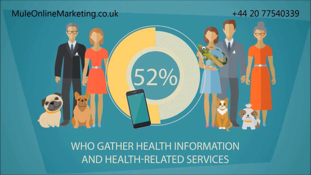 Mule Online Marketing Essex &ndash; Expand your Veterinary Surgeon Brand Right Now!
