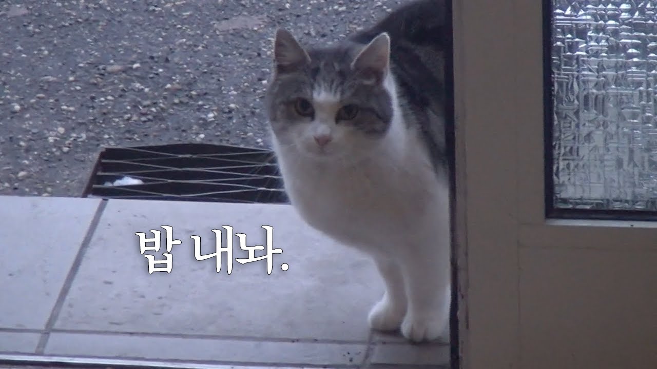 눈싸움 광인 독일인 예비신랑❄️ | 런닝맨 보다가 짜장면 해먹는 독일인 어떤데