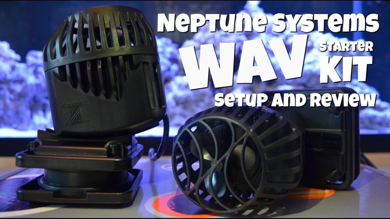 Neptune Systems Wav Starter Kit Setup and Review