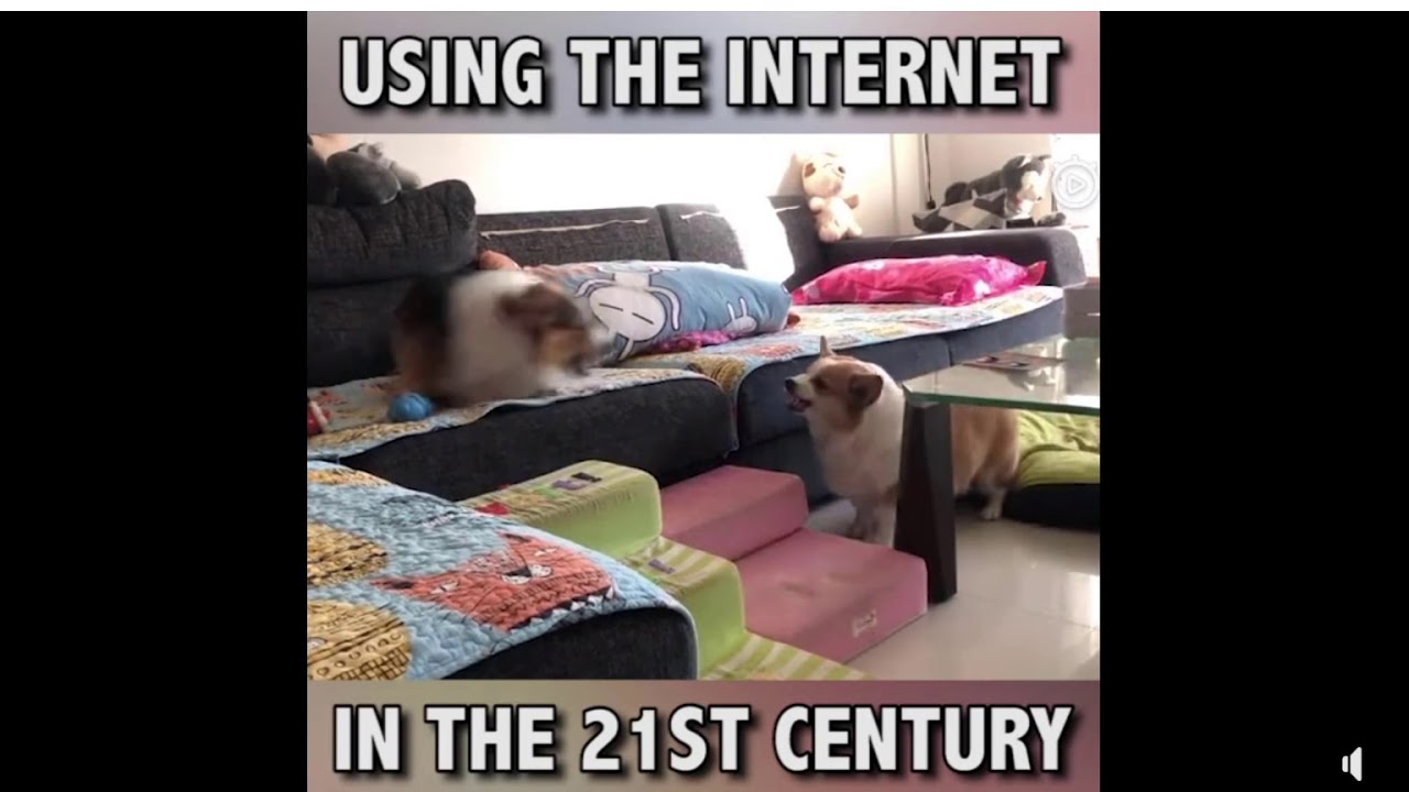 Ozzy Man Reviews: Using The Internet - 21st Century Debating