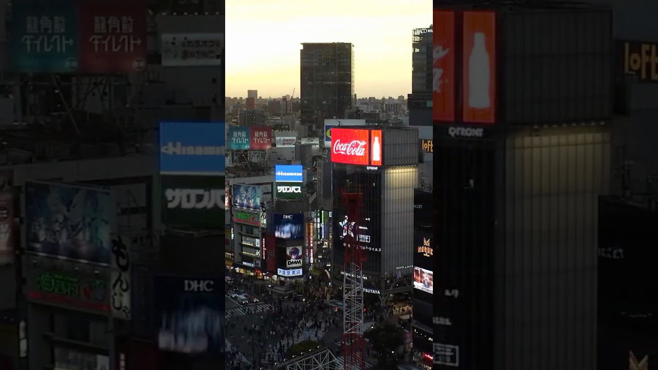 Top 3 Must Do Activities in Tokyo!  #Tokyo #TravelTokyo #VisitJapan #TokyoTravel #ExploreTokyo