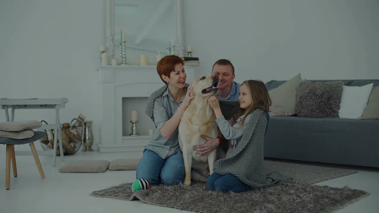 Flood Damage Restoration Services | Full Pro Restoration Orlando