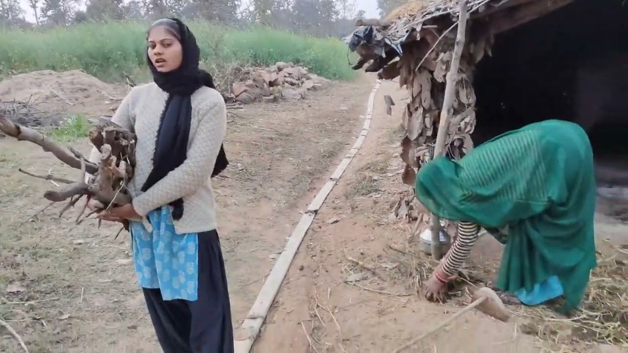 शाम के समय हमे बहुत काम करना पड़ता है #poortiprajapativlog #familyvlog 