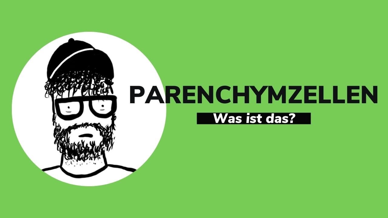 KFKA#26 - Was machen PARENCHYMZELLEN beim Baum? | Schreinerwissen | puradietischler