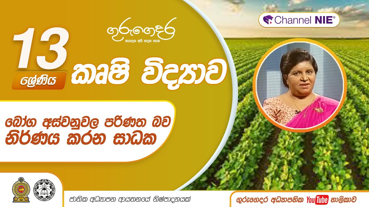 බෝග අස්වනුවල පරිණත බව නිර්ණය කරන සාධක - P 13-A/L Agriculture (කෘෂි විද්‍යාව) 13 ශ්‍රේණිය