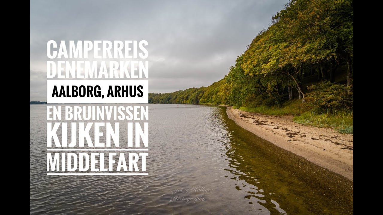 Camperreis Denemarken. Aalborg, Arhus en bruinvissen kijken in Middelfart.