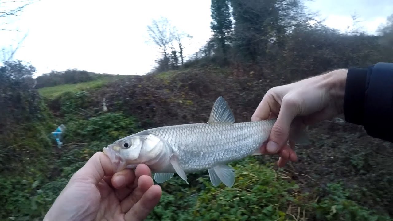 Derede balık avı / river fishing