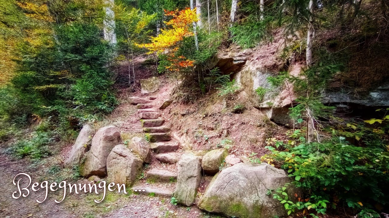 Megalithischer Felsenweg, Steinbänke in der Mathildenanlage im Schwarzwald 🪨🌲🧚🏻‍♂️