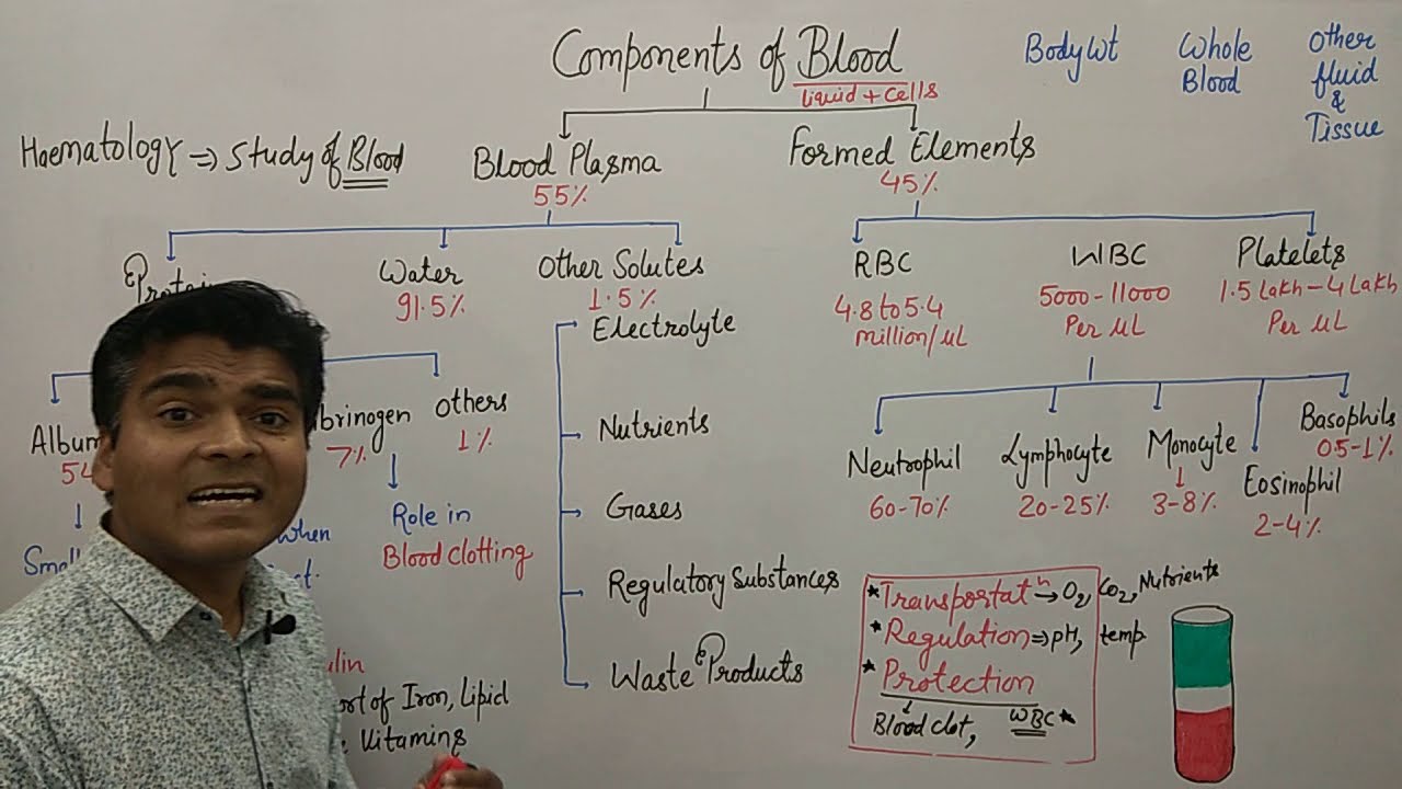 Blood function in Hindi | Characteristics of Blood | Blood Mnemonics | NEET Biology | GPAT | Nursing