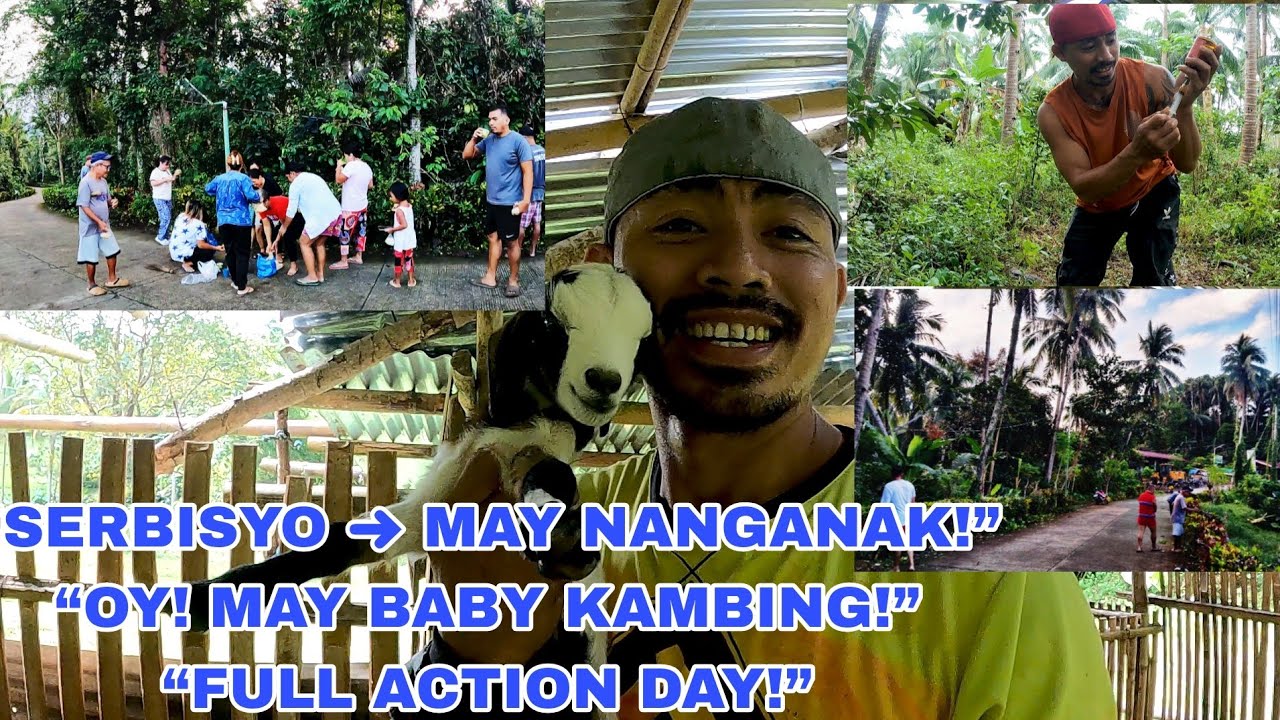 CITY WIDE CLEAN UP ➜ BIGLAANG PANGANAK SA KAMBING! 🐐😱 + Vitamins sa mga Baka 💉