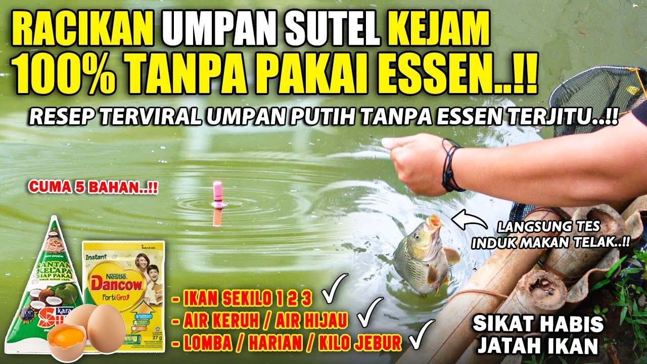 RACIKAN KEJAM UMPAN PUTIH SUTEL TANPA ESSEN 100% ❗❗ RESEP TERAMPUH PENANGKAL ESSEN TERJITU ❗❗