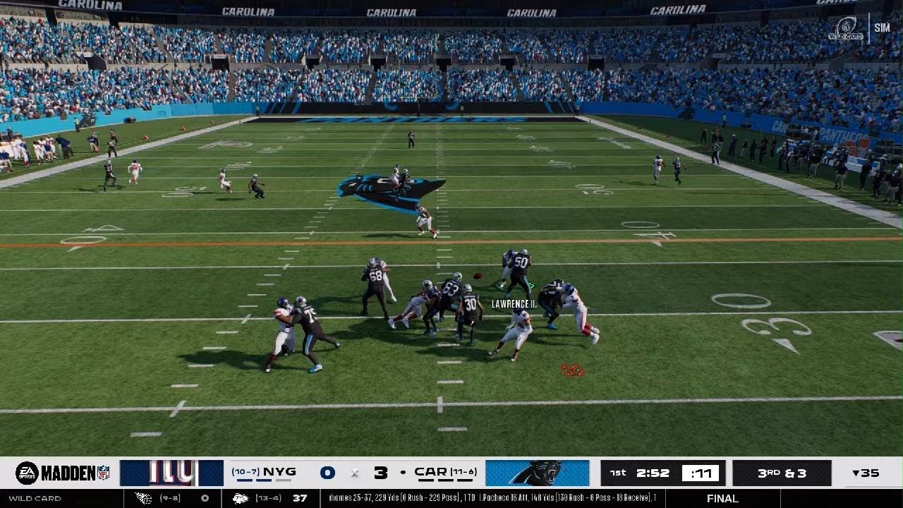 NFC Wild Card Giants at Panthers