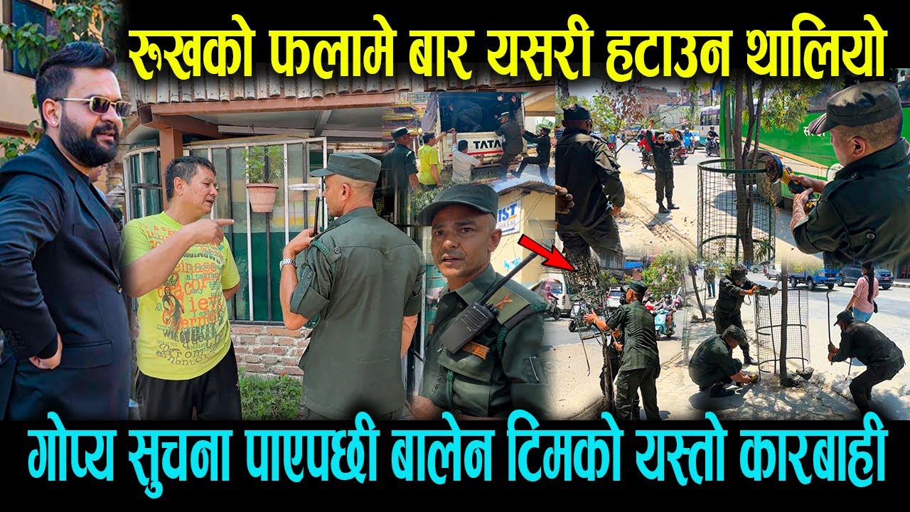 गोप्य सुचना पाएपछी Blaenको टिमले थाल्यो यस्तो कारबाही ! रुखको फलामे बार यसरी हटाउन थालियो ! Balen.