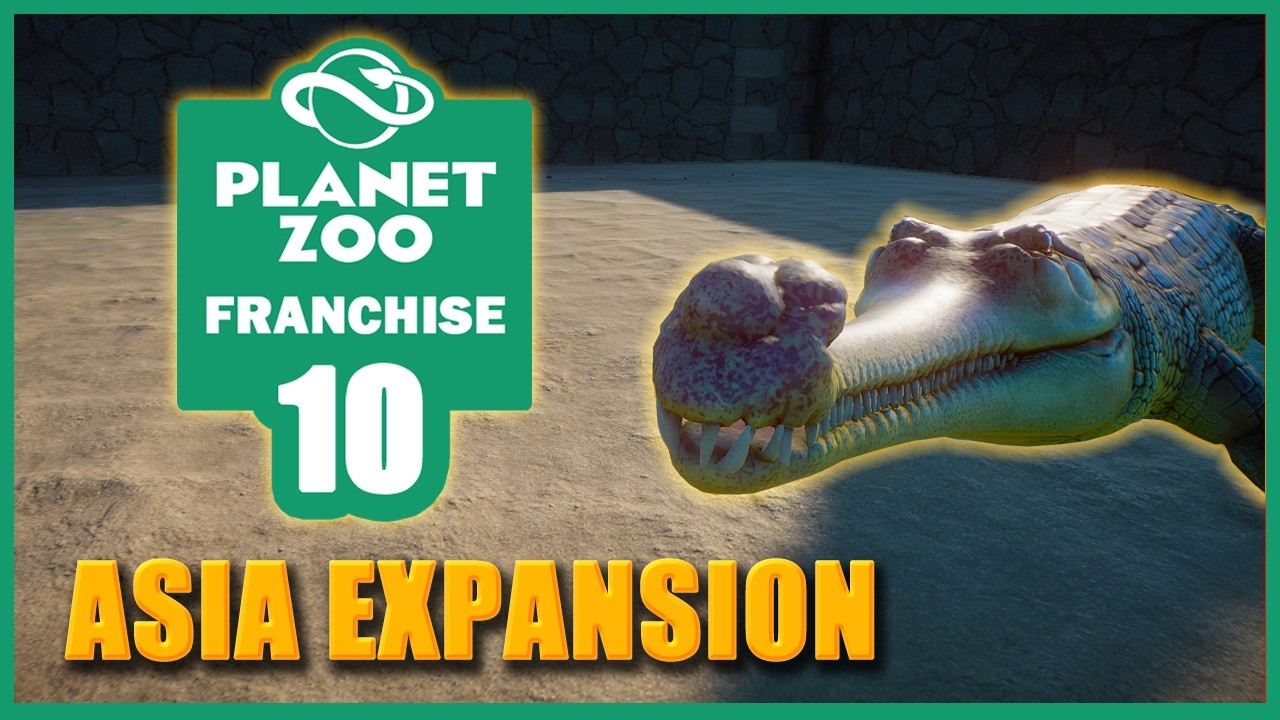 Building a Flamingo Paradise! | Planet Zoo Franchise (Ep. 10) - 1JMGames
