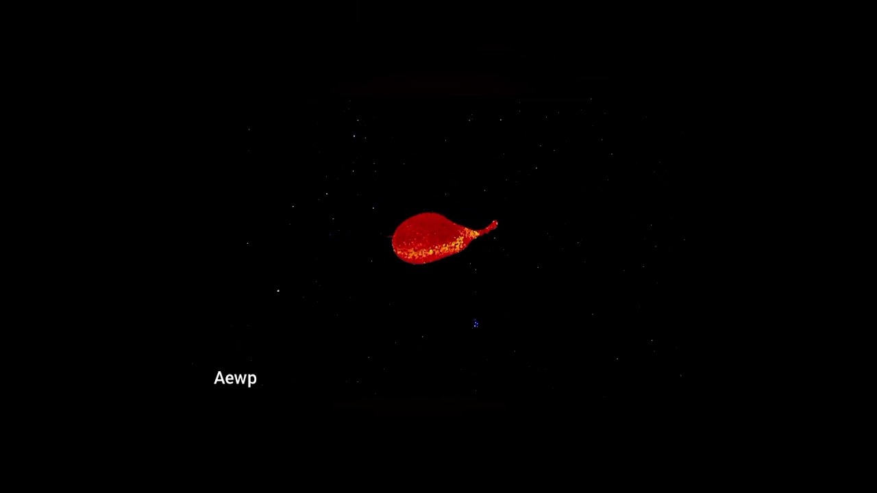 Mars's moons origin (Phobos and Deimos) 2