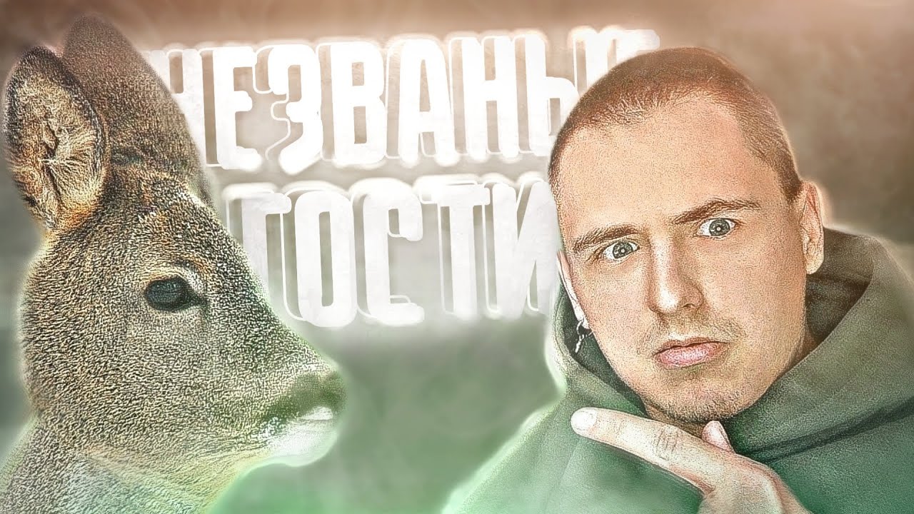 ГОСТИ которых ты ТОЧНО ЖДËШЬ (нет) (сигма дед и четвероногий бой) 
