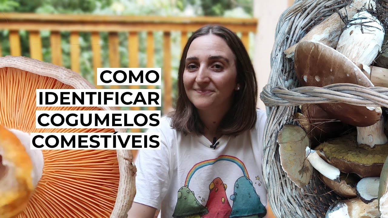 Como identificar cogumelos comestiveis