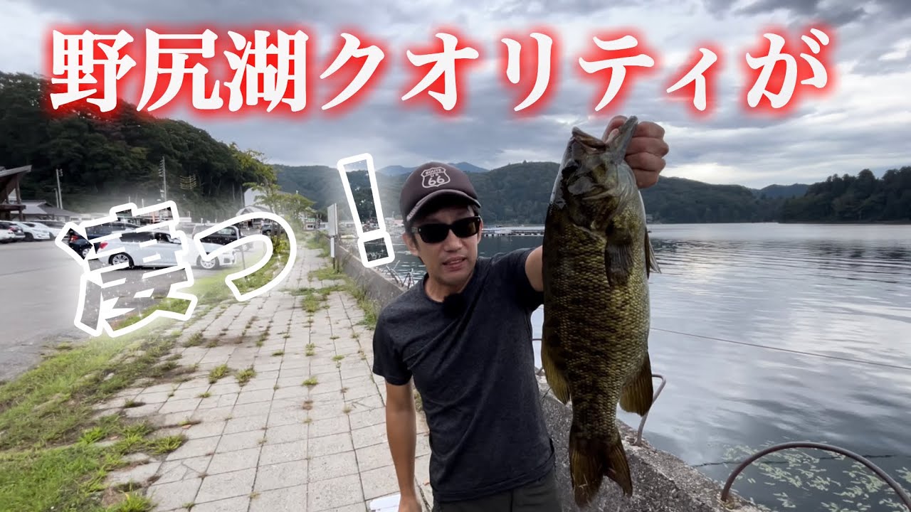 【バスは足元】片道300キロ来た甲斐ありました😂#スモールマウスバス#バス釣り #bassfishing #野尻湖#おかっぱり